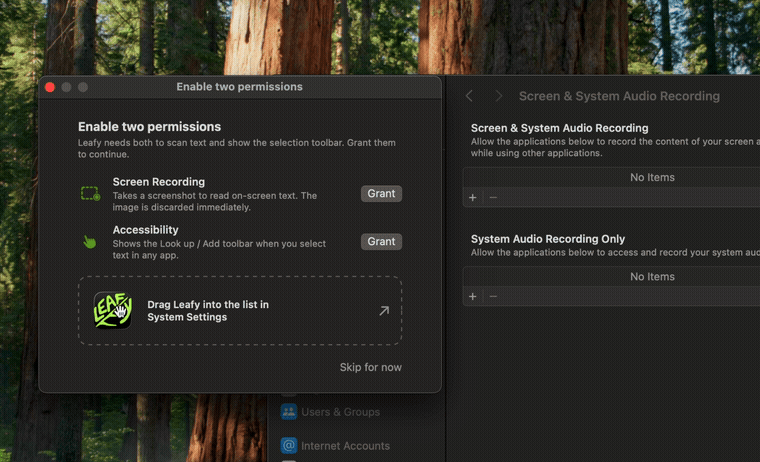 Dragging the Leafy icon from Leafy's permission window into the Screen Recording list in System Settings